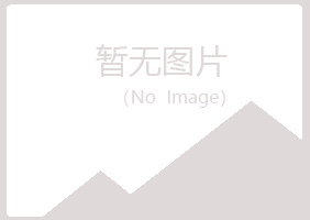 白银平川福兮保险有限公司